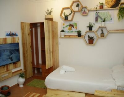 Studio Apartment For Rent in Nakuru