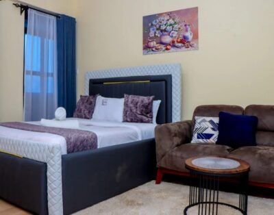 Studio Apartment For Rent in Nakuru