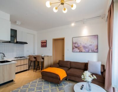 1 Bedroom Apartment For Rent in Syokimau