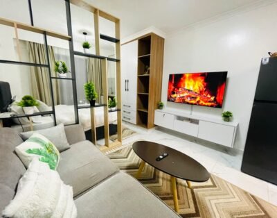 Studio Apartment For Rent in Kilimani