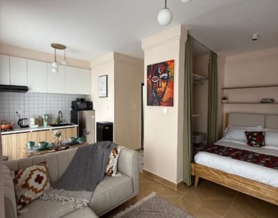 Studio Apartment For Rent in Syokimau