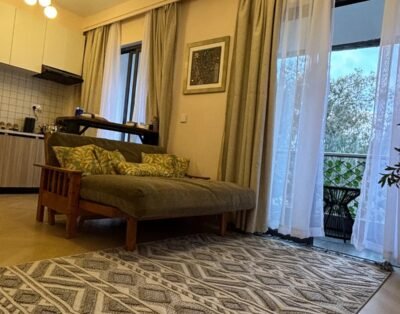 Studio Apartment For Rent in Syokimau