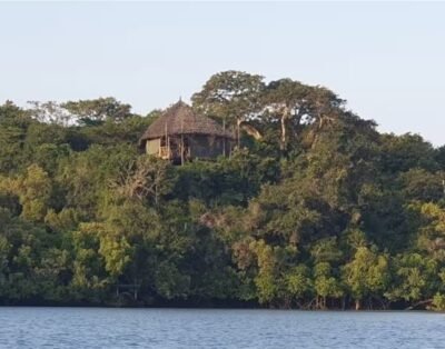 1 Bedroom Treehouse For Rent in Kilifi North